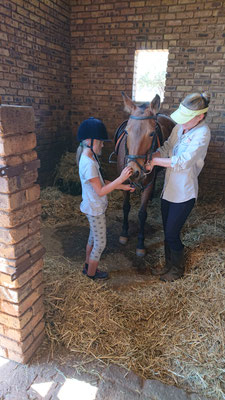 Lilly beim Reiten (Fudge)