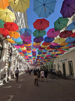 In Timisoara
