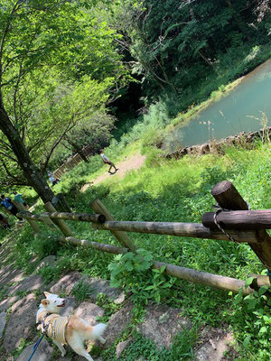 ながら川ふれあいの森へ