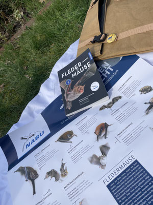 NAJU Fledermausrucksack |  Foto: Imke ter Fehr