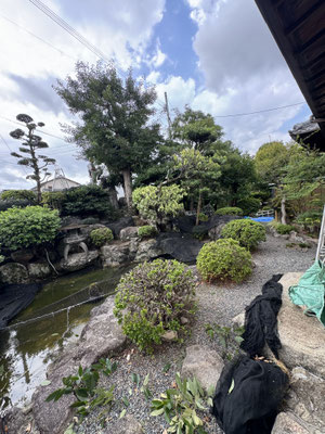剪定①　before