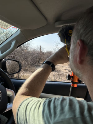 Bild: Foto aus dem Auto