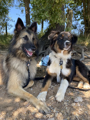 Olie et Sunshine, baie de Somme 