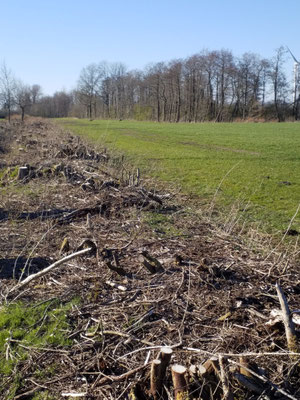 Das linke Foto zeigt den einstigen Weg vom Kolonistenweg in Richtung Grüner Weg blickend.