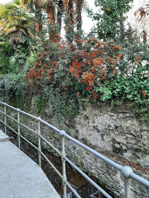 Lesa_Il porticciolo Spaziergang in Richtung des alten Dorfes Solcio
