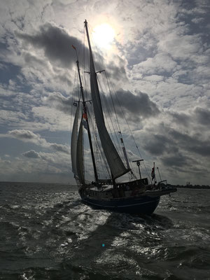 sail ship Stortemelk