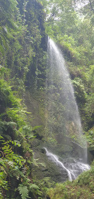 Wasserfall von Los Tilos