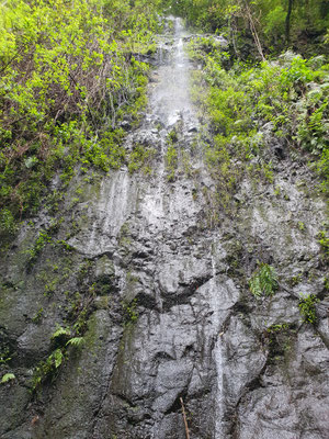 Wasserfall im Lobeerwald von Los Tilos