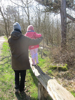 Naturpfad im Wasservogelreservat Wallnau