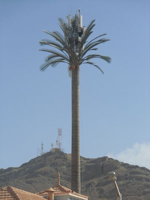 Le faux palmier et vrai antenne relais de téléphone portable