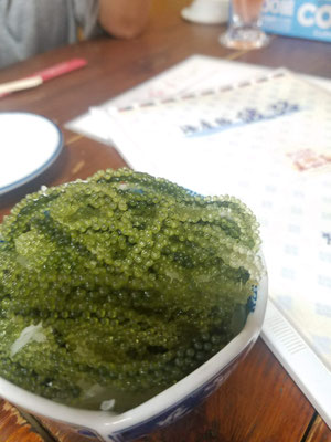 海ぶどう