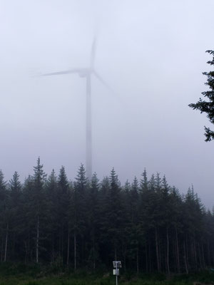 Une éolienne bien intégrée dans le paysage !