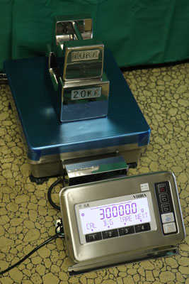 新光電子・HJ33K0.1S
