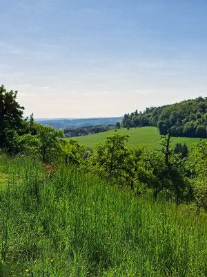 Ein weiter Blick über grüne Wiesen