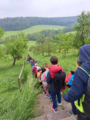 Die Kinder wandern hintereinander auf einem schmalen Pfad einen Berg hinab.