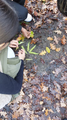 Kinder sammeln heruntergefallene Blätter im Herbstwald.