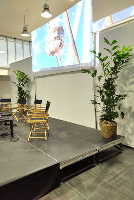 Plants rental services for an event