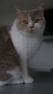 Kiona