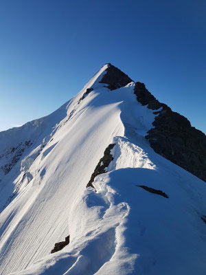 Auf dem Walchergrat zum Gross Fiescherhorn: Links die weit abfallende Nordwand und kurz vorm Gipfel die Steileispassage