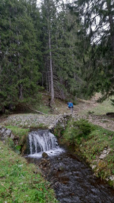 Erst durch am Wald...