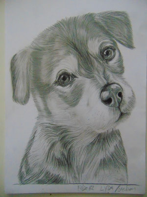 DIBUJO A LÁPIZ Y CARBONCILLO con lápiz carboncillo DIBUJO A LÁPIZ Y CARBONCILLO