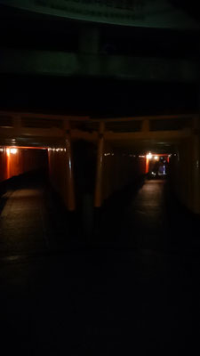 夜の伏見稲荷大社 魔界の入口 Nobusan Guide By Kyotosightstour Taxi