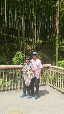 Bamboo Forest in Arashiyama