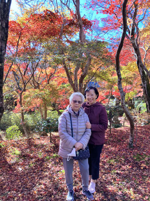 Shoji-ji Temple, Other name is the Flower Temple