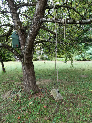 Schaukel am Boskop