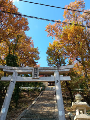 鳥居がある。