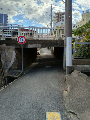 ここを通るのだ。