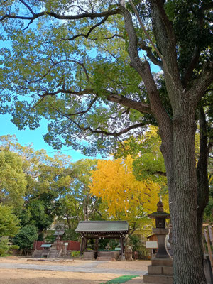 神社の境内