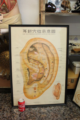 Antigua lámina acupuntura (Chino - Inglés) / Ancient acupuncture poster (Chinese - English)