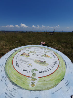 la table d'orientation aubrac rando balade 