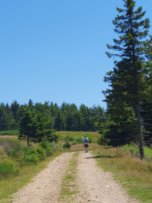 quelques bons chemin pour monter rando balade 