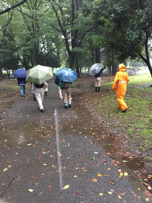 雨中の下見