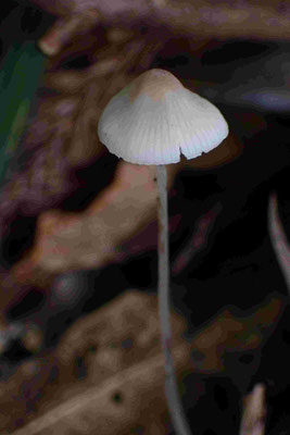 ？