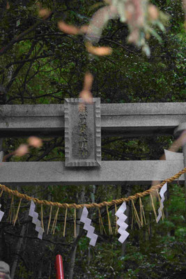 麻賀多神社【栗山】