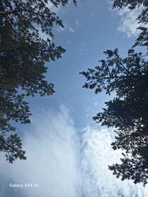 16 - Ciel du causse Méjan