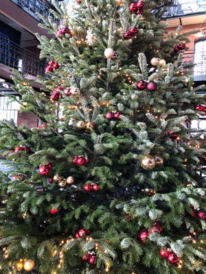 Was wäre Weihnachten ohne Tanne?