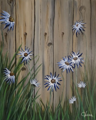 40 x 50 | Alpenidyll