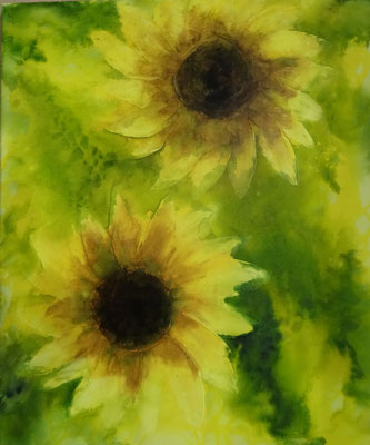 50 x 60 | tournesols