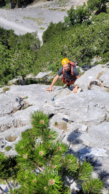nach dem schönen Riss der 4. Sl