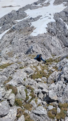 im leichten Gelände zu Beginn