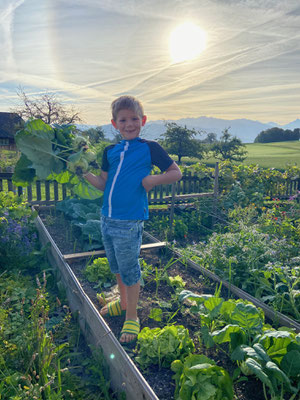 Garten vom petershof-kärselen in Uebeschi bei Thun