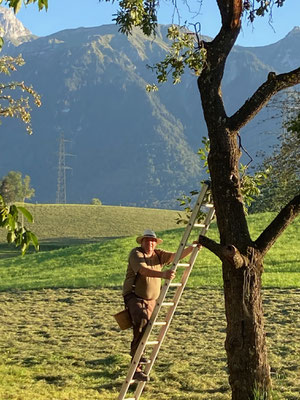 Thomas am Ernten