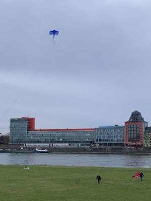 Einzelne Versuche bei den Windbedingungen zu fliegen, hauptsächlich von den  Merhleiner Piloten.