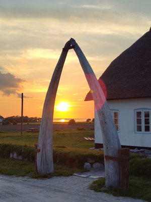 Walkiefer Tor Sunset