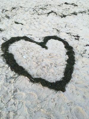Liebe zum Meer