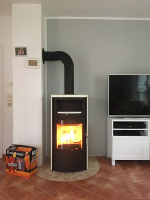 Kaminofen Testsieger Hark 44 Ecoplus Falkensee